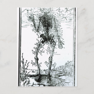 Vascular System of the Body Postcard