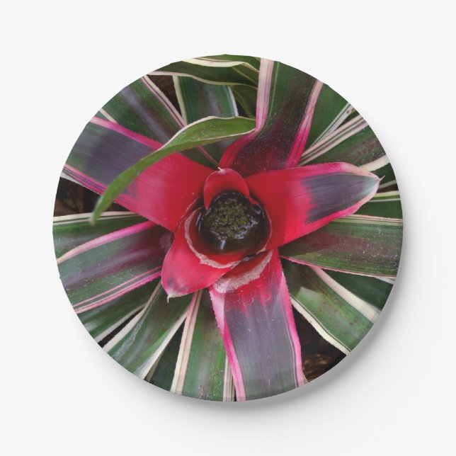 Vase Plant Paper Plates (Front)
