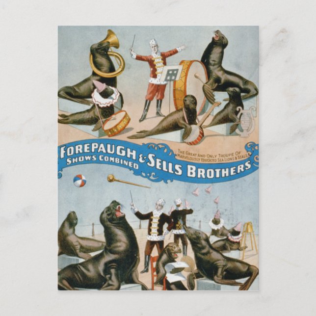 Vaudeville, Circus shows Postcard (Front)