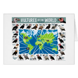 Vautours de la carte du monde