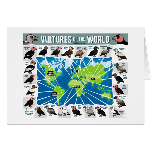 Vautours de la carte du monde (Devant horizontal)