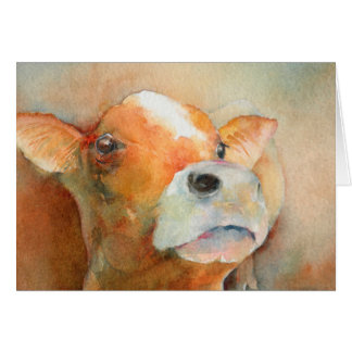 Veau curieux