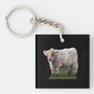 Veau de Highland Bébé Vache Meugle Animal de Ferme