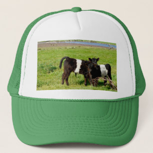 Veaux Belted Galloway, Casquette de camionneur