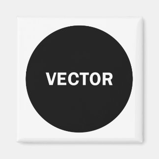 vector magnet