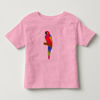 Vector - parrot bird