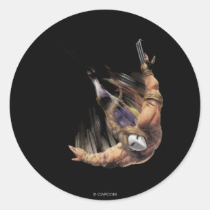 Vega Classic Round Sticker