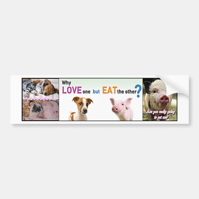 Vegan Gear Whats the difference? Bumper Sticker (Front)