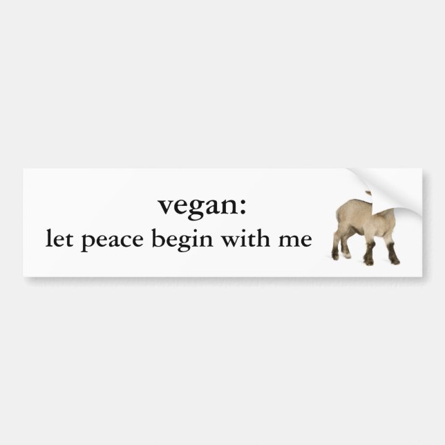 vegan: let peace begin with me (baby goat) bumper sticker (Front)