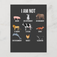 Vegan Life Statement Rescue Animal Rights Veggie