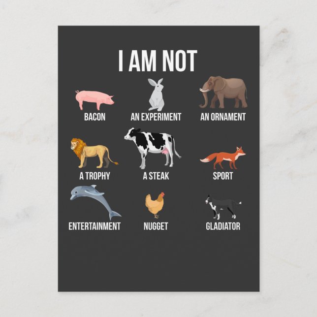 Vegan Life Statement Rescue Animal Rights Veggie Postcard (Front)