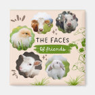 Vegan Visages des amis Magnet