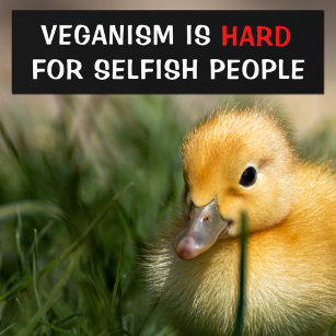 Veganism is hard for selfish people, Vegan Bumper Sticker