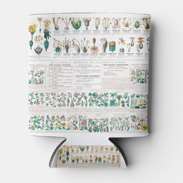 Vegetable botanical poster can cooler (Front)