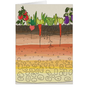 Vegetable garden soil earth layers nature art