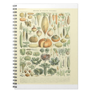 Vegetable Identification Chart Notebook
