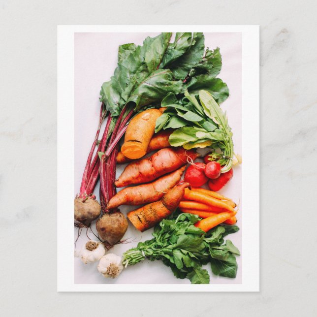 Vegetable Medley Photo Postcard (Front)