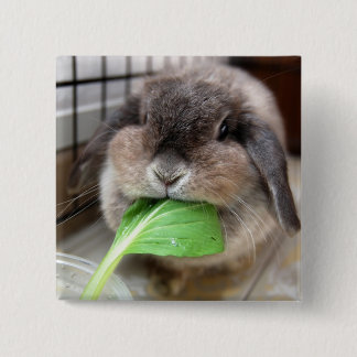 Vegetable munching bunny 2 inch square button