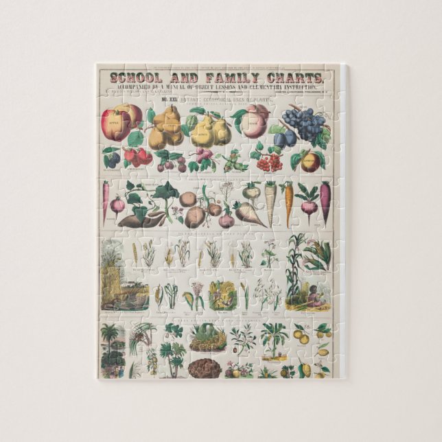 Vegetable school and family chart jigsaw puzzle (Vertical)