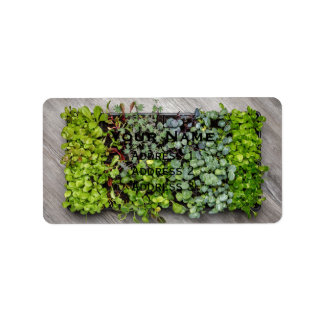 Vegetable Seedlings Label