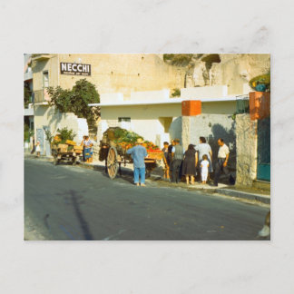 Vegetable seller, Salerno Postcard