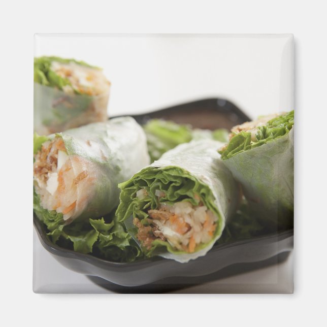 Vegetable Spring Rolls Magnet (Front)