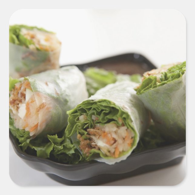 Vegetable Spring Rolls Square Sticker (Front)