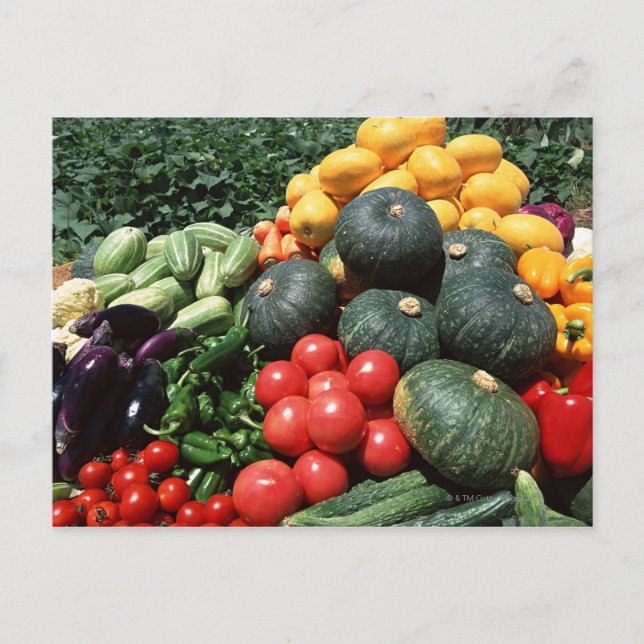 Vegetables 2 postcard (Front)