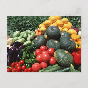 Vegetables 2 postcard