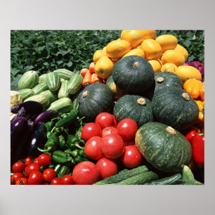 Vegetables 2 poster