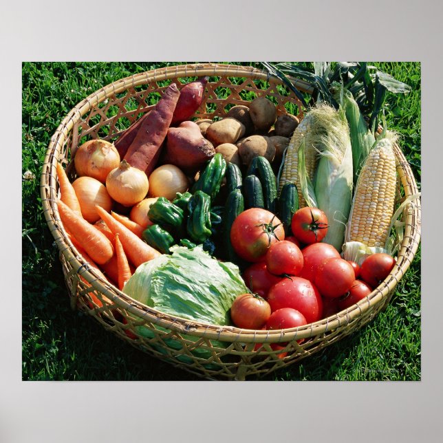 Vegetables 5 poster (Front)
