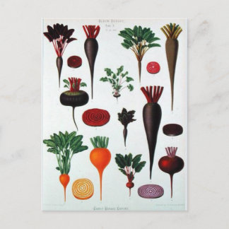 Vegetales - Bénary Postcard