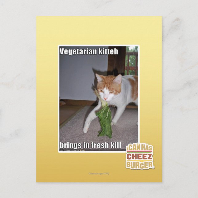 Vegetarian Kitteh Postcard (Front)