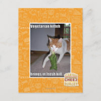 Vegetarian Kitteh