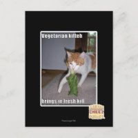 Vegetarian Kitteh