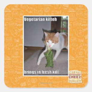 Vegetarian Kitteh Square Sticker