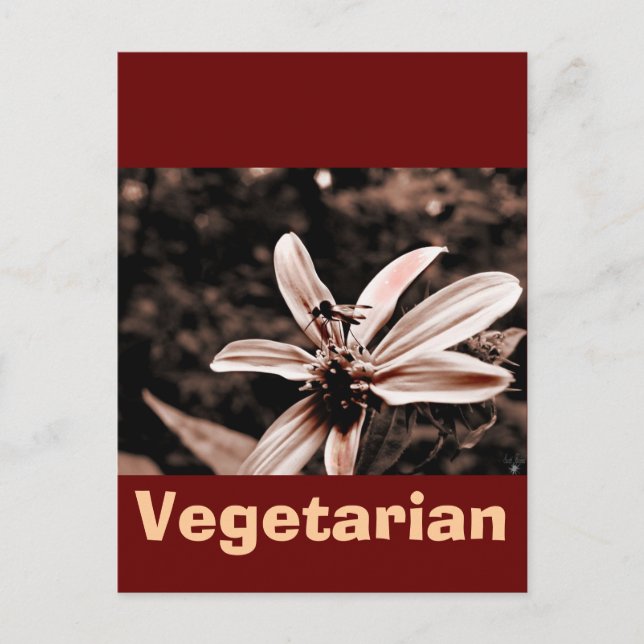Vegetarian Postcard (Front)