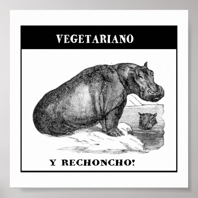 Vegetariano e gordinho poster (Front)