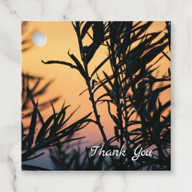 Vegetation at sunset favour tags (Front)