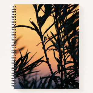Vegetation at sunset notebook