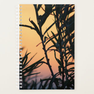 Vegetation at sunset planner