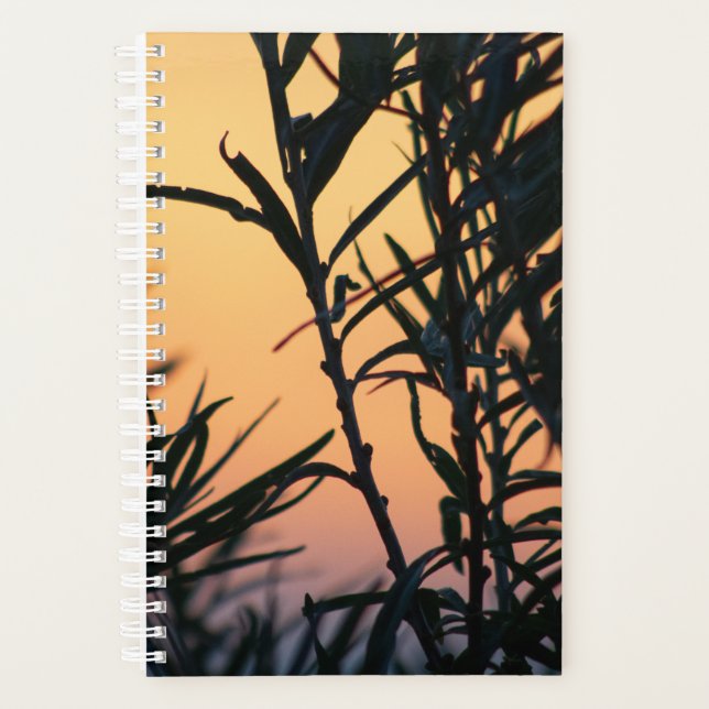 Vegetation at sunset planner (Front)