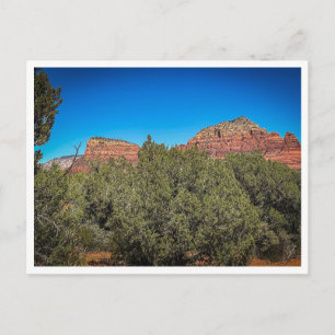 vegetation postcard