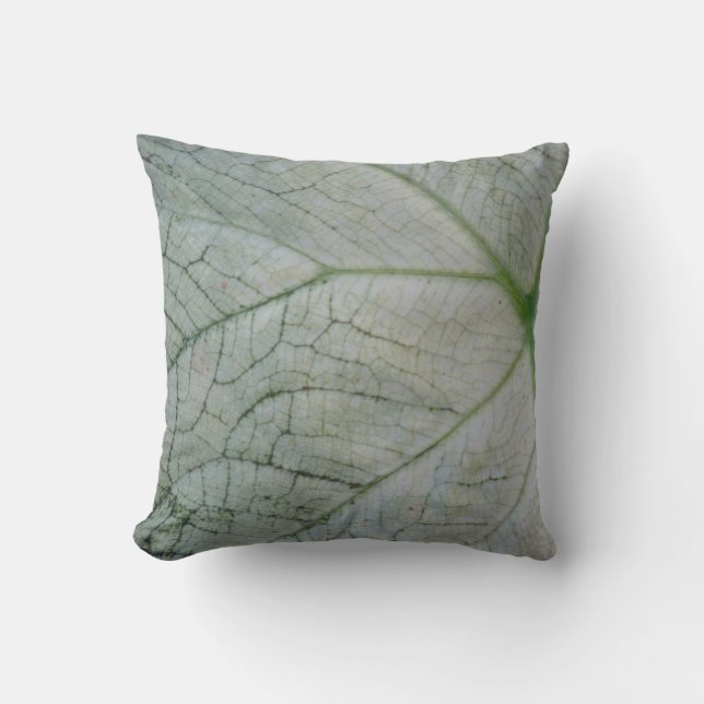 Veggie Wrap Throw Pillow (Front)