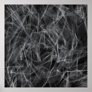 Veil like a X-ray image   Poster