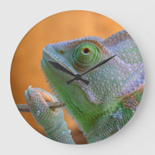 Veiled Chameleon Large Clock