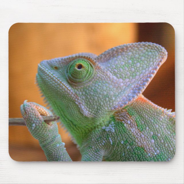 Veiled Chameleon Mouse Pad (Front)