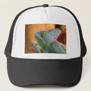 Veiled Chameleon Trucker Hat