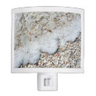 Beach Shells Sea Shell Arrière - plan Ocean Textur