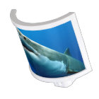 GRAND REQUIN BLANC 3